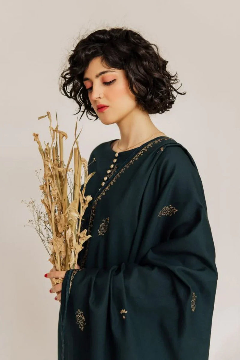 HC566-WINTER 3PC Dhannak Embroidered Suit with Dhanak Embroidered Shawll