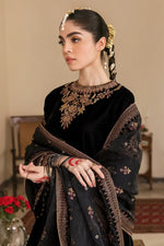 HC563-Embroidered Velvet Dress With Organza embroidered Dopata