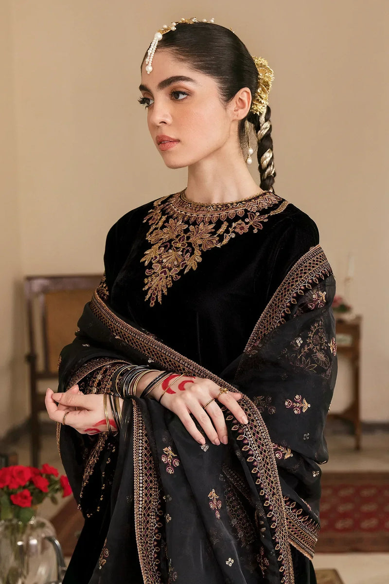 HC563-Embroidered Velvet Dress With Organza embroidered Dopata