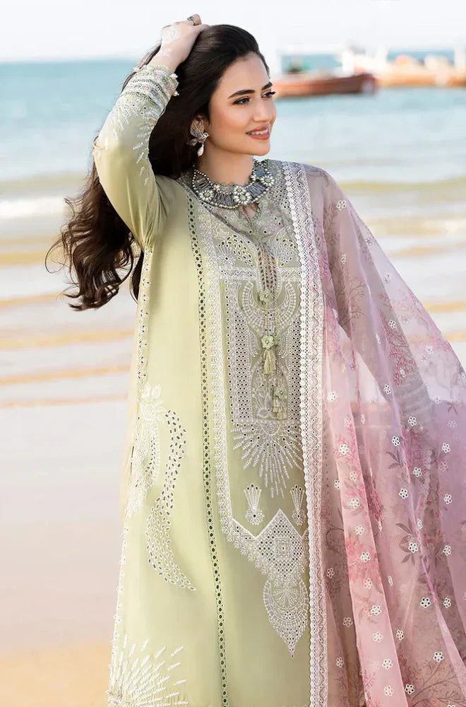 Qalamkar - Summer 3PC Lawn Chicken Kari Embroidered Suit - HC1107