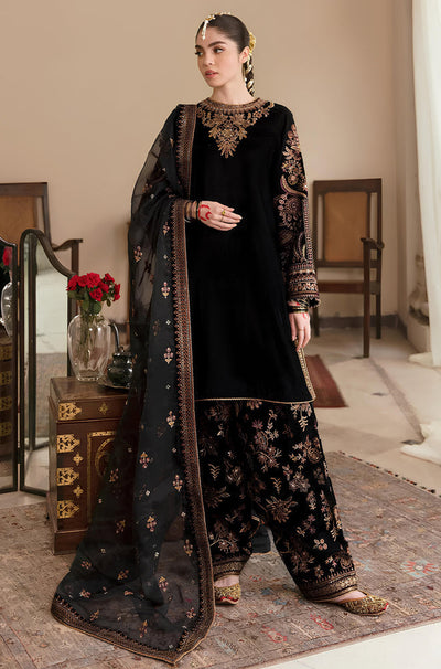 HC563-Embroidered Velvet Dress With Organza embroidered Dopata