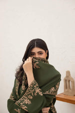 Agha Noor - Winter 3PC Dhanak Embroidered Suit - HC3340