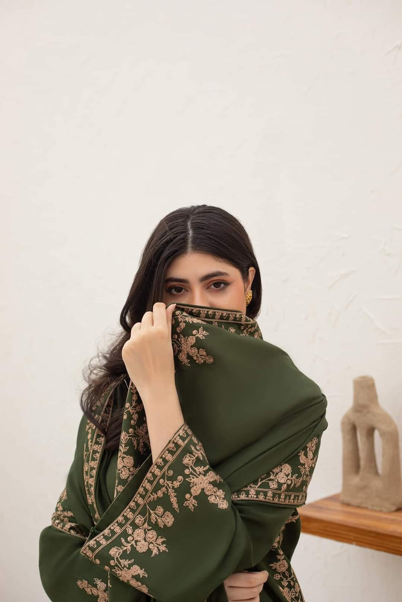Agha Noor - Winter 3PC Dhanak Embroidered Suit - HC3340