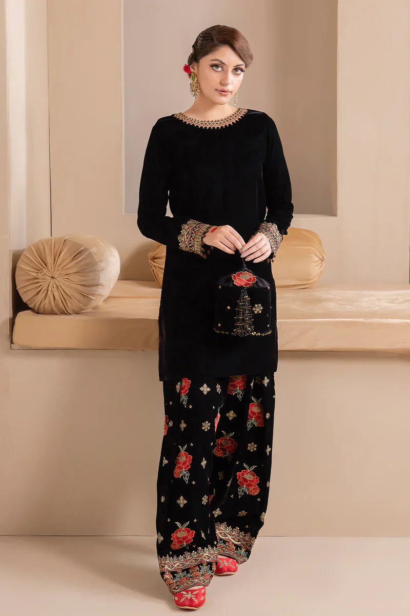 HC577-Embroidered Velvet Dress With Organza embroidered Dopata