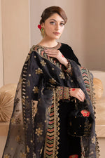 HC577-Embroidered Velvet Dress With Organza embroidered Dopata