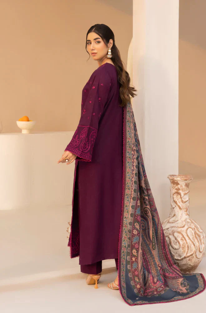 Mohagni - Winter 3PC Dhanak Embroidered Suit -HC3381