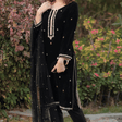 HC518-Velvet Embroidered Dress With Organza embroidered Dopata
