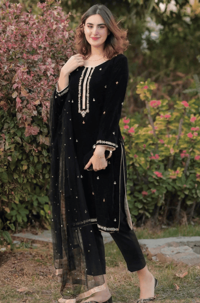 HC518-Velvet Embroidered Dress With Organza embroidered Dopata