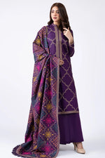 HC603-WINTER 3-Pc Embroidered Dhanak Suit with Heavy Embroidered Dhanak Shawll