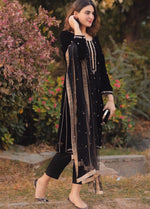 HC518-Velvet Embroidered Dress With Organza embroidered Dopata